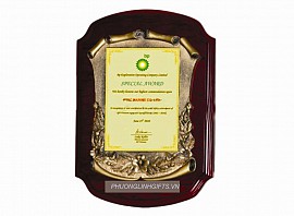 QUÀ TẶNG BIỂU TRƯNG GỖ ĐỒNG PL 11