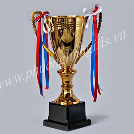 CÚP ĐỒNG PL CD2